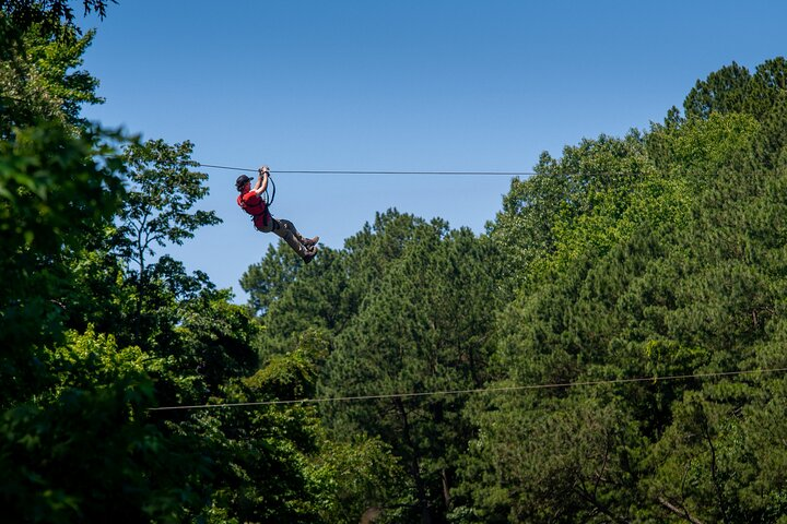 Ziplining and Climbing at The Adventure Park at Virginia Aquarium - Photo 1 of 10